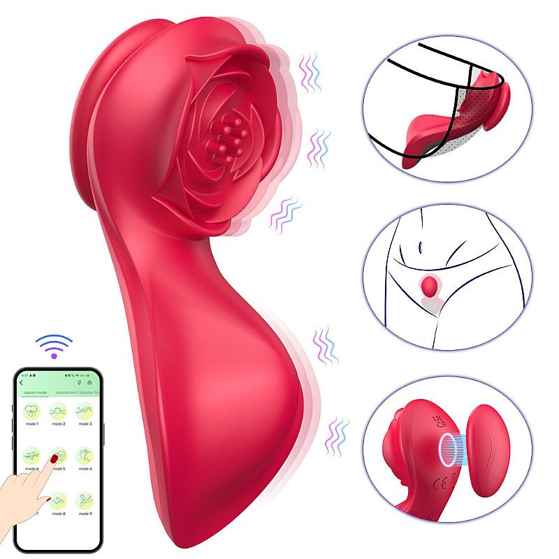 Vibrador de Calcinha - Paraty - À Longa Distância - APP - 7763