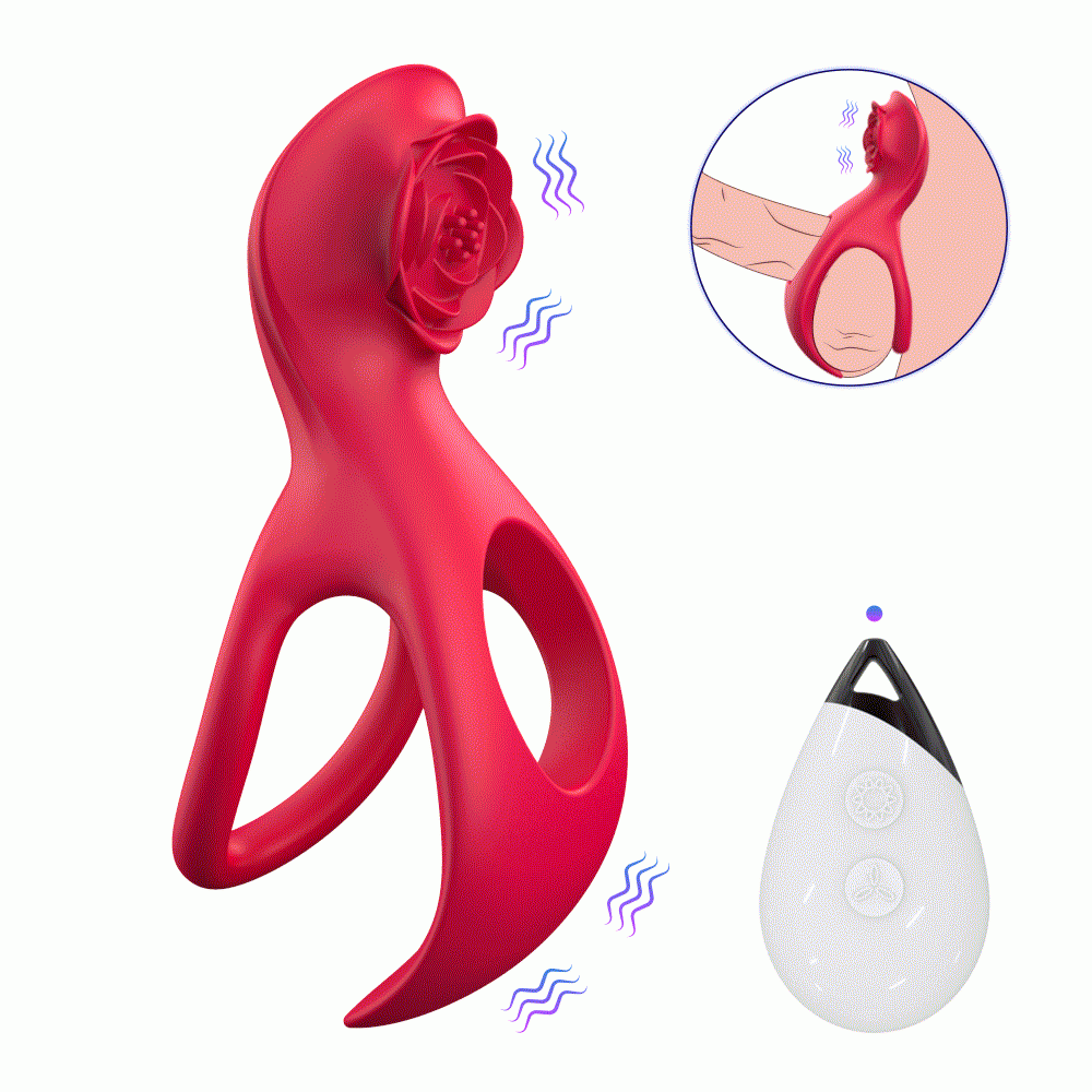 Anel Duplo com Vibro e Controle Remoto - Nolan-B - 7762