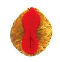 Vagina em Pelúcia com vagina média 45 cm