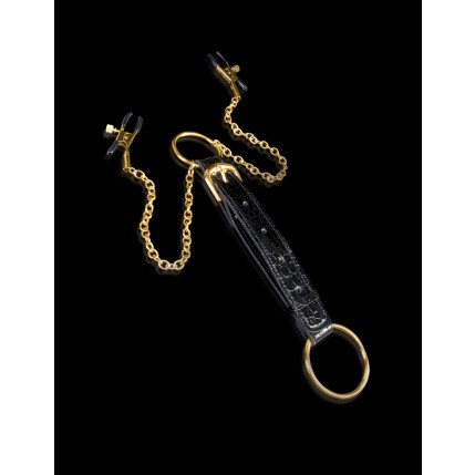 Prendedor de Mamilos com anel Fetish Fantasy Gold PD3983-23