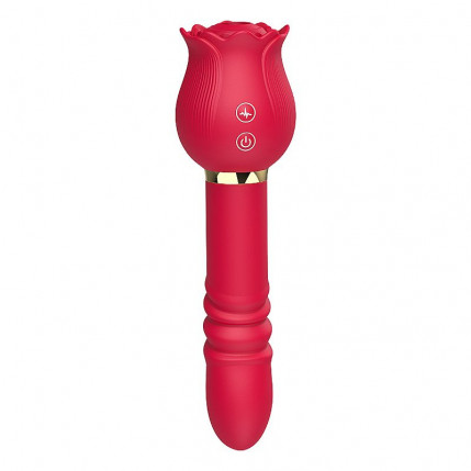 Vibrador de Ponto G e Clitóris Rosa com Pulsação e Vai e vem - 7185
